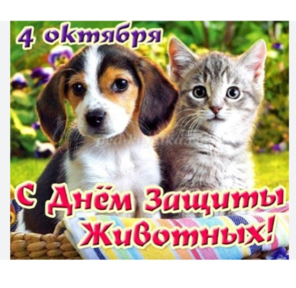 Всемирный день защиты животных.
